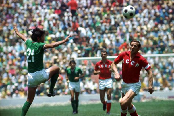 让青岛男篮 让青岛男篮